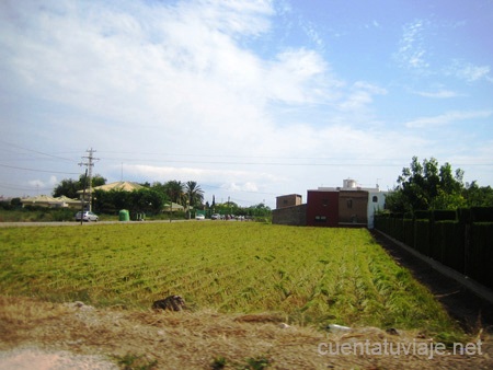 Huerta de Alboraia (València)